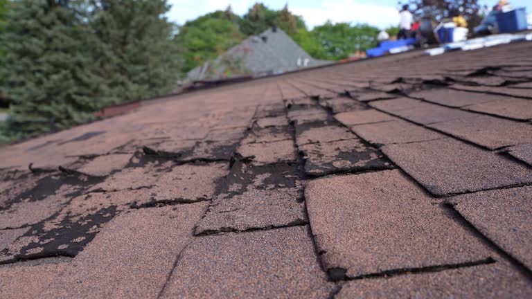 Best Slate Roofing  in North Baltimore, OH